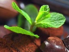 -FASHION BAKERY法森贝克(新德路店)