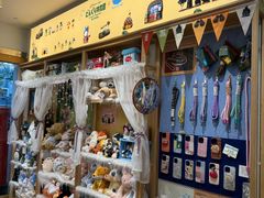 -猫的天空之城概念书店(大学路店)
