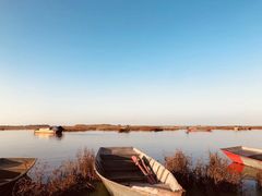 -白渔泡湿地公园