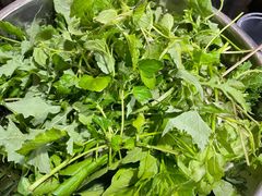 -黔府豆米火锅野菜馆(南马店)