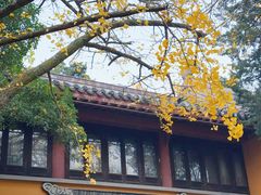 -灵谷景区