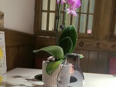 -一叶一世界•素食餐厅(环球中心店)