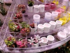 -KKV(深圳宏发大仟里店)