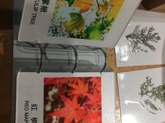 -天花井景区