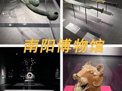 -中国西峡恐龙遗迹园