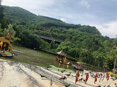 -西双版纳原始森林公园