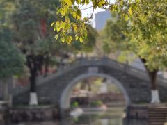 -龙潭水乡