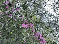 -东钱湖旅游度假区