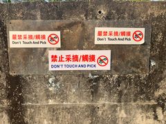-南丫岛