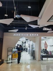 -FINE HAIR 烫染专业设计