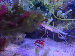 -多彩贵州城极地海洋世界