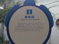 -广东惠东海龟国家级自然保护区