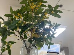 -久宴·天目湖大鱼头(恐龙园店)