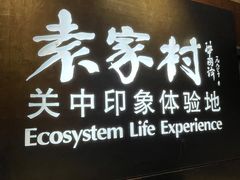 -袁家村关中印象体验地(大唐不夜城店)