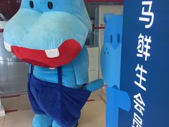 -盒马鲜生(大成店)