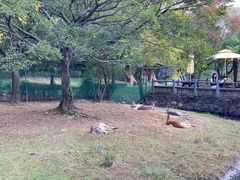 -宁波野生动物园