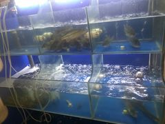 水产区-百家鲜·杭帮菜