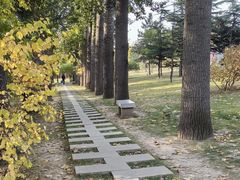 -晋祠公园