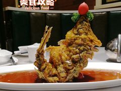 糖醋鲤鱼-城南往事·鲁菜济南菜(长清园博园恒大绿洲店)