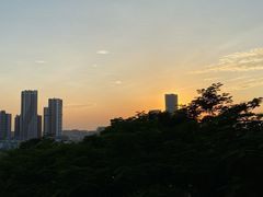 -红花山公园