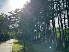 -金银湖国家城市湿地公园