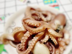 乌贼-济南海鲜大市场