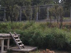 -石家庄市动物园