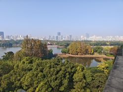-耐味林月子会所(黄兴公园店)