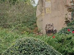 -宜兴龙背山森林公园