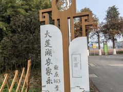 -大莲湖农家乐(青西郊野公园店)