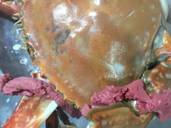 -青石桥市场北1-27号