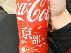-有栖山 清光院 清水寺