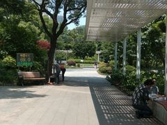 -兰溪青年公园