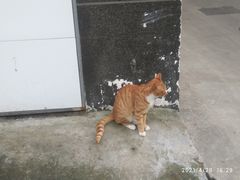 -长顺河豚馆(江洲东路)