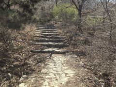 -欢乐松鼠谷