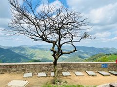 -莫干山风景区