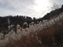 -石砭峪水库