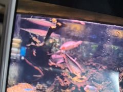 -华夏文旅西安度假区