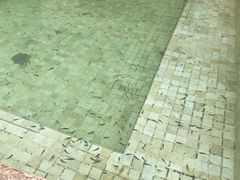 -春晖园度假酒店温泉