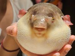 -永安鱼庄·镇江菜(东吴路店)