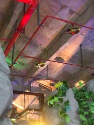 -恐龙探索乐园(磁器口店)