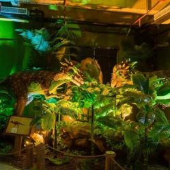 -恐龙探索乐园(磁器口店)