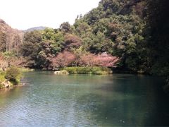 iphone_upload_pic-九溪烟树