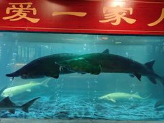 -年辉渔村·非遗传承餐厅(新丰江店)
