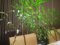 -墨宴(西洋湖店)