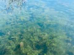 -苏州吴中太湖旅游区