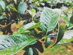 -中南财经政法大学(首义校区)