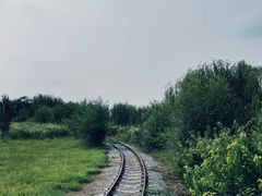 -西青郊野公园