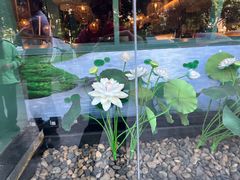 -马家斑.鲜鱼火锅(松湖万科店)