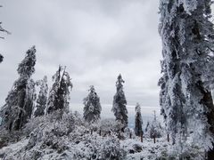 -瓦屋山景区